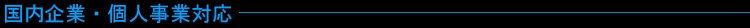 国内企業・個人事業対応
